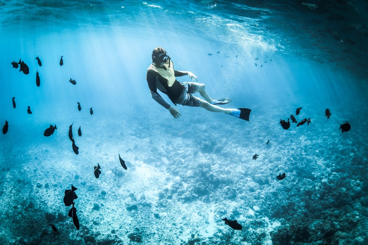 Try Snorkeling Or Free Diving